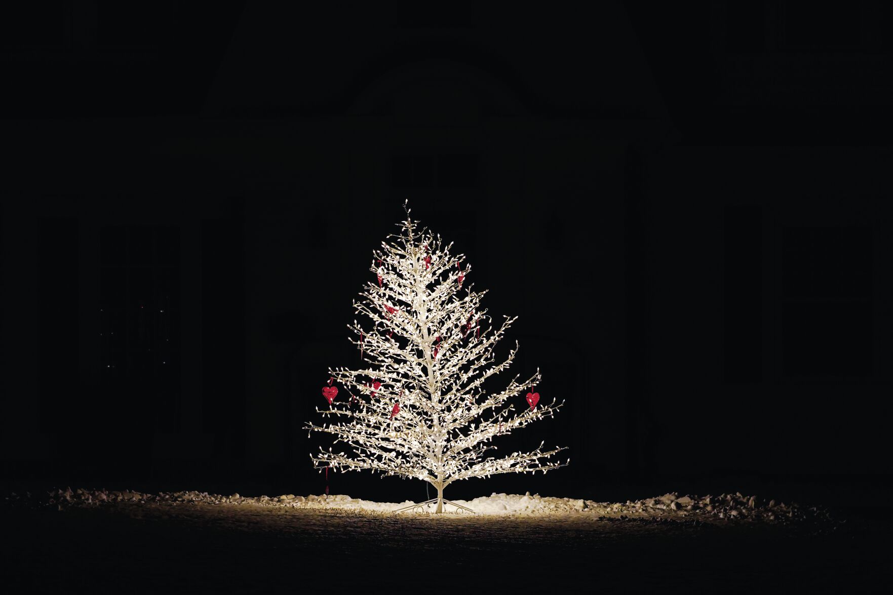 12-24-2020 More Christmas Lights Stand Alones 001.jpg